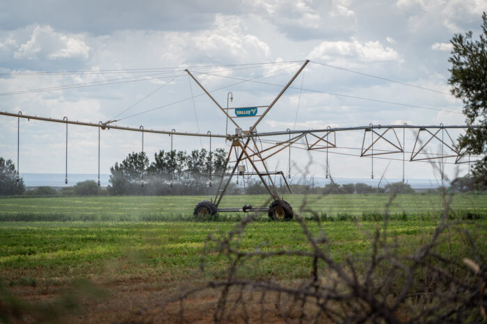 Agri SA’s Water Desk: Year in review (2019)
