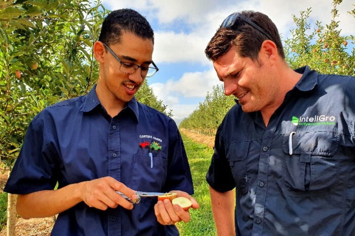 InteliGro en Cortina Farms, Villiersdorp
