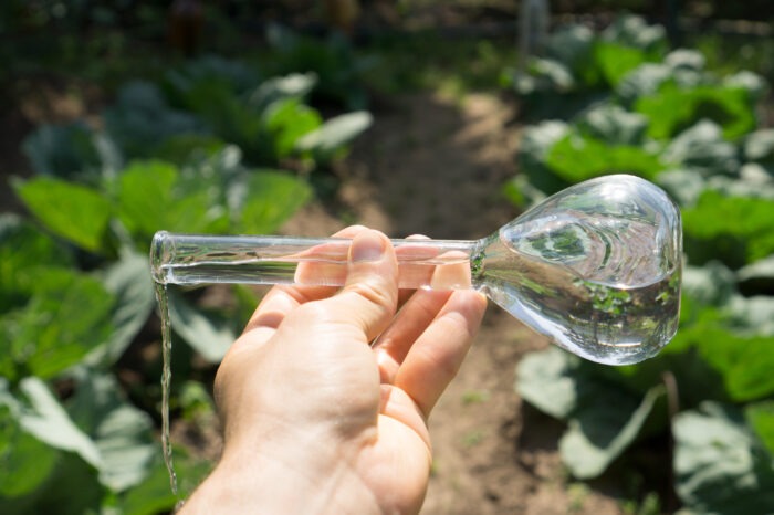 Water quality: Status quo, impact, planning and way forward