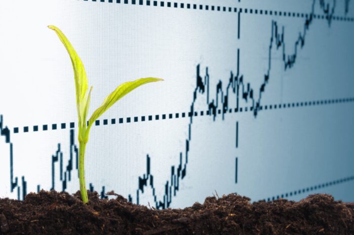 The proposed Agricultural and Agro-processing Master Plan  and the economic challenge