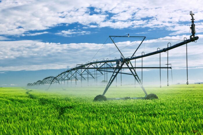 Water Month 2021: Critical water licensing delegations signed into effect