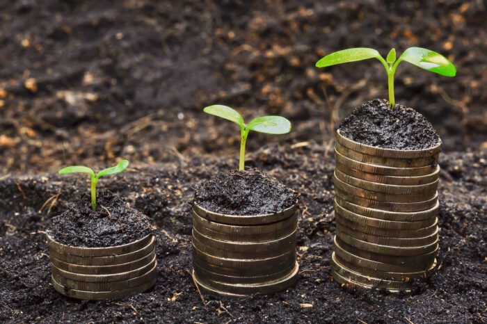 SA’s economic performance in 2020: Agriculture a beacon of hope