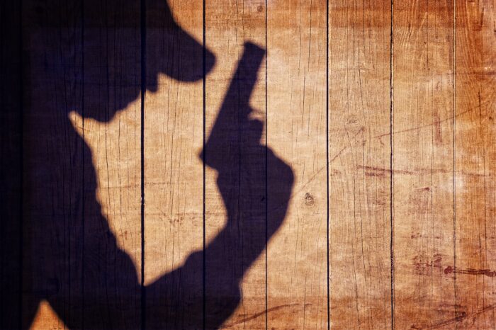 Firearms amendment bill, 2021