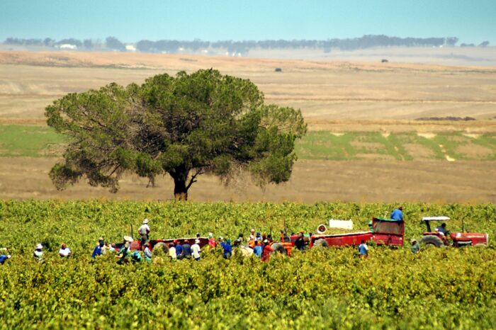 Working and Living Conditions of Farmworkers: DALRRD and DEL take hands