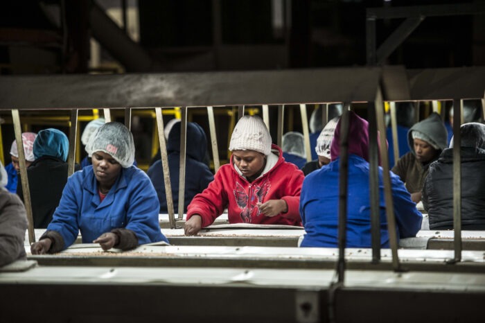 Landbou skep steeds meer werk