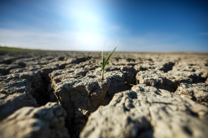 Extreme weather conditions greatest risk for 2022