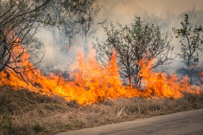 Veld fires: Are we prepared?