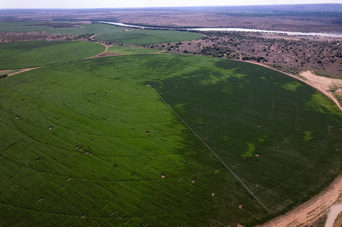 The cost of loadshedding to agriculture