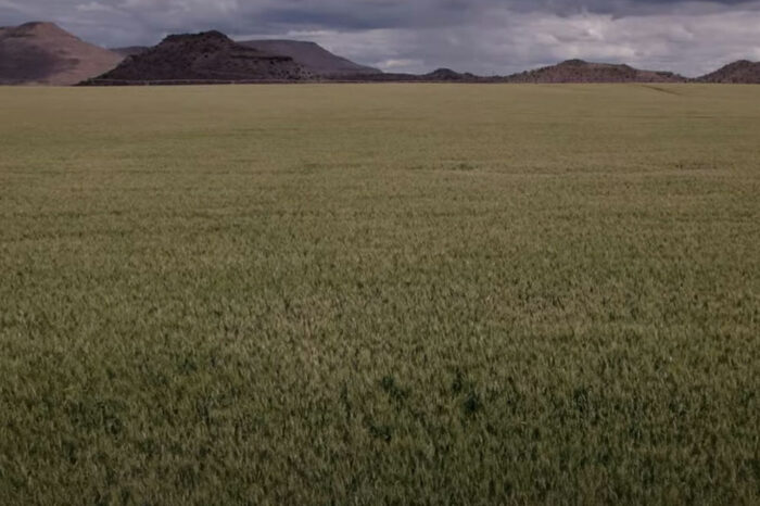 God Gaan Voor Ons Uit: Die mooiste lê nog voor vir Suid-Afrika