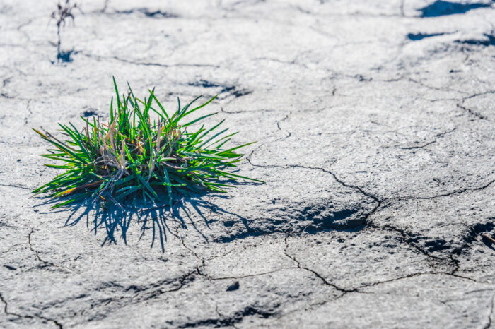 Klimaatsverandering: Boere moet aanhou innoveer