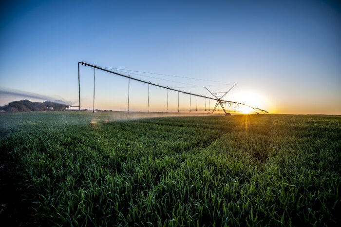 Agri SA’s Water Desk: Expectations for 2020