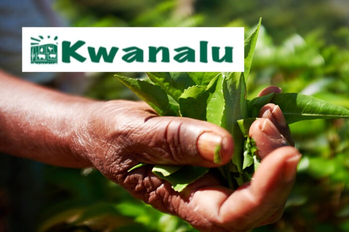 Kwanalu launches platform to support women and youth in agriculture
